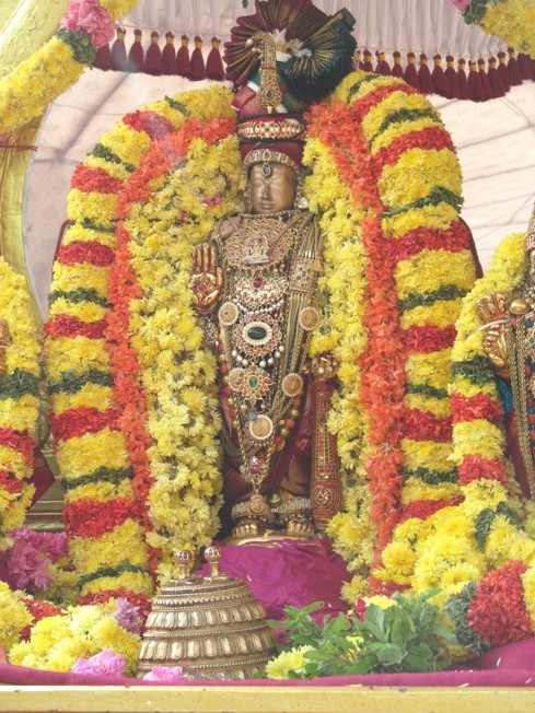 Vanabhojana Utsavam At Thiruvallur_05