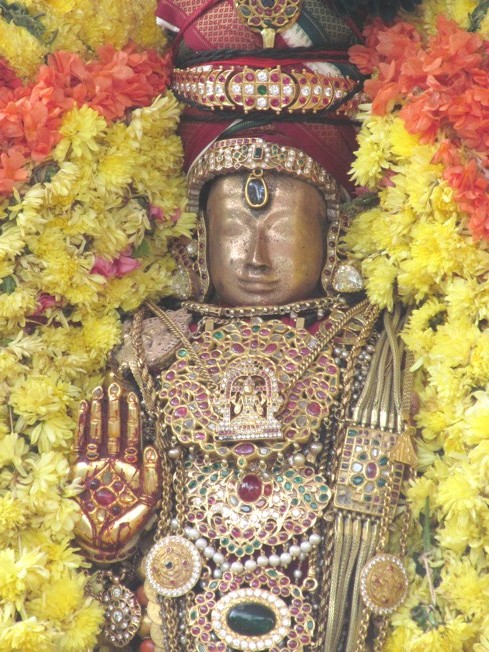 Vanabhojana Utsavam At Thiruvallur_08