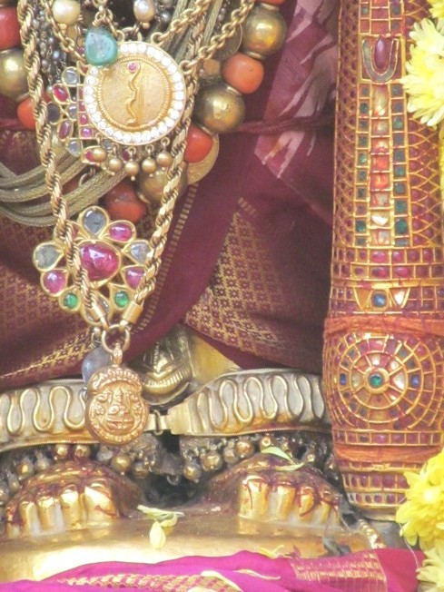 Vanabhojana Utsavam At Thiruvallur_11