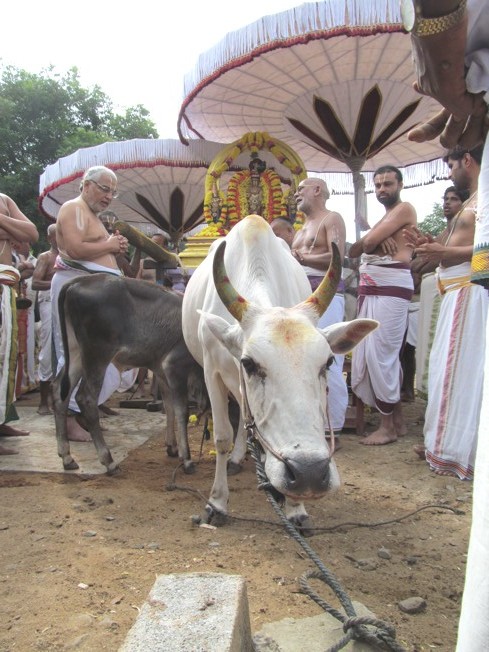 Vanabhojana Utsavam At Thiruvallur_16