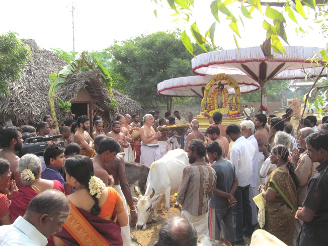 Vanabhojana Utsavam At Thiruvallur_17