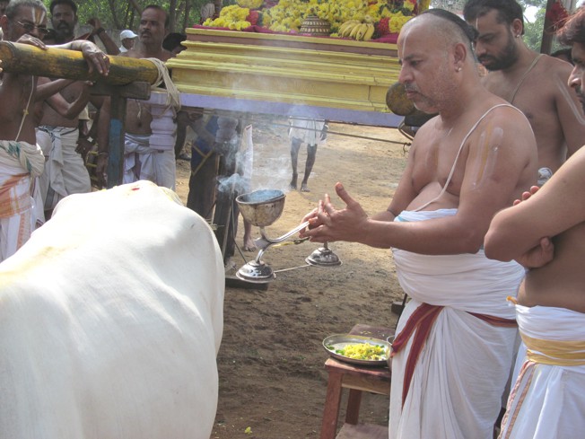 Vanabhojana Utsavam At Thiruvallur_20