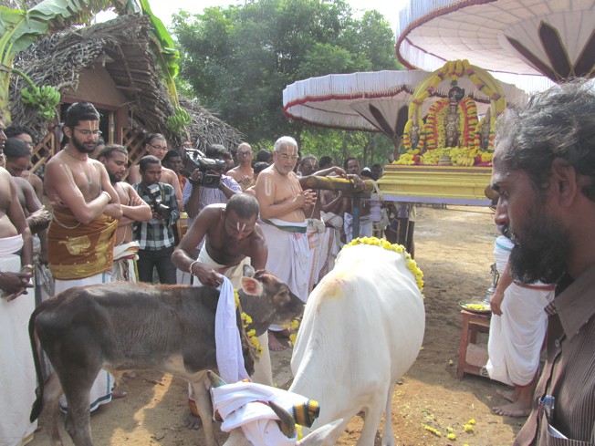 Vanabhojana Utsavam At Thiruvallur_26