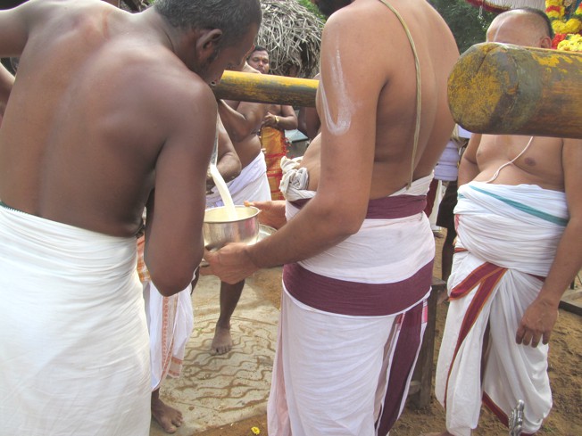 Vanabhojana Utsavam At Thiruvallur_35