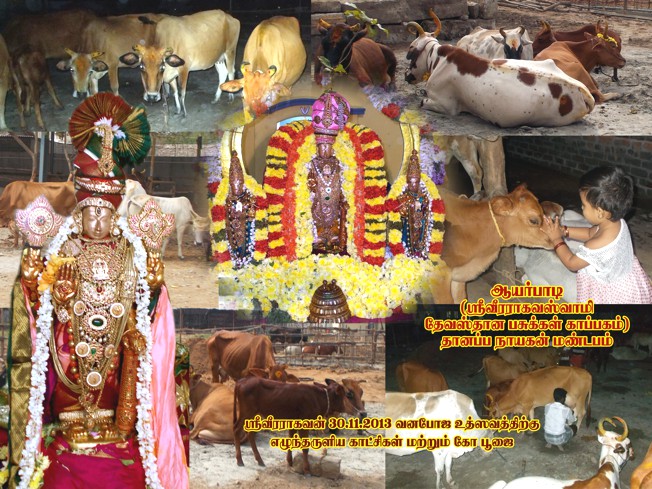 Vanabhojana Utsavam At Thiruvallur_52