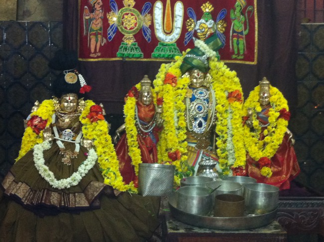 adambakkam Sri Lakshmi Narasimha sannadhi Vanabhojana utsavam 2013-00