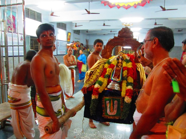 41 pattam Azhagiyasingar THirunakshatram at srirangam2014--01