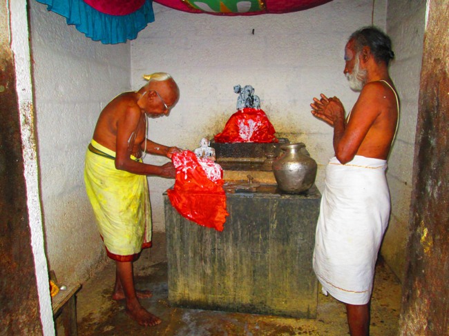 41 pattam Azhagiyasingar THirunakshatram at srirangam2014--06