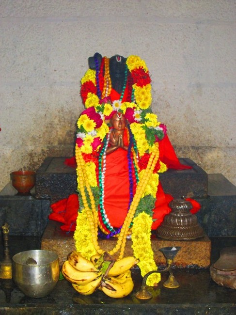 41 pattam Azhagiyasingar THirunakshatram at srirangam2014--14