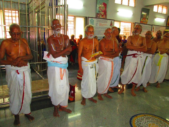 41 pattam Azhagiyasingar THirunakshatram at srirangam2014--28