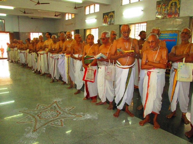 41 pattam Azhagiyasingar THirunakshatram at srirangam2014--34