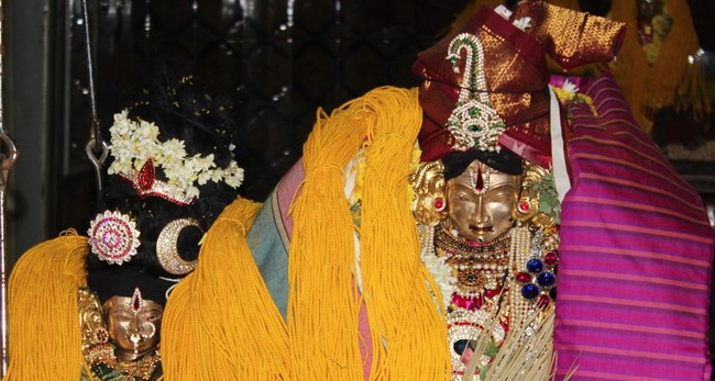 Adambakkam Sri Lakshmi Narasimha temple Sri Andal THirukalyanam 2014 -02