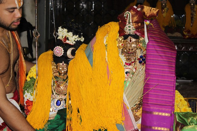 Adambakkam Sri Lakshmi Narasimha temple Sri Andal THirukalyanam 2014 -10