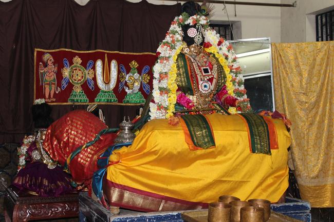 Adambakkam sri Lakshmi Narasimhan sannadhi  pagal pathu utsavam day5 2014-3