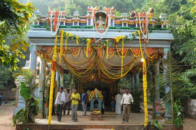 Ahobilam Perumal Temple Vaikunda Ekadasi 2014--04