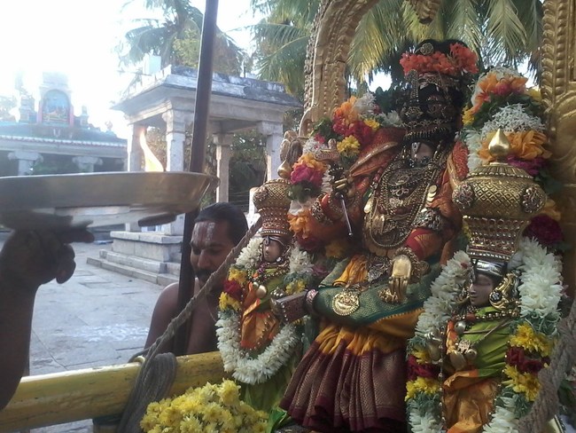 Akkarakanai nachiyar Thirukolam margazhi 2014-05