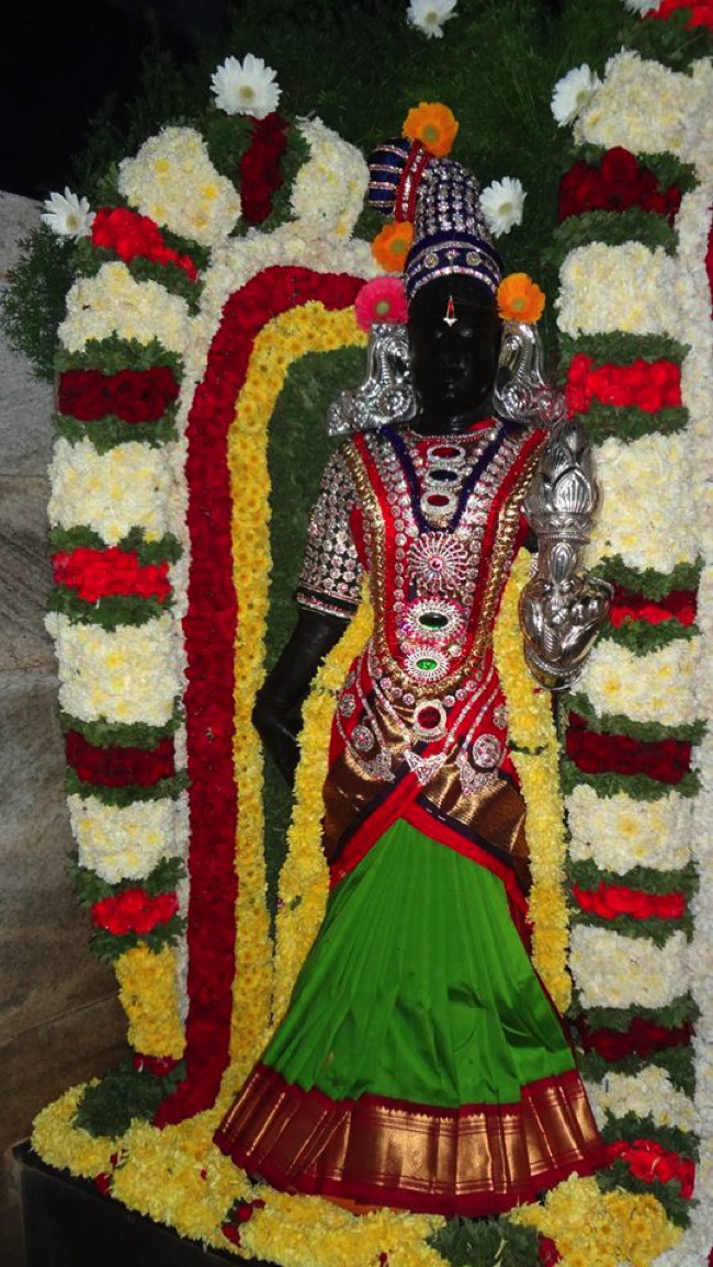 Ambur Bindu Madhava perumal Temple Vaikunda Ekadasi 2014--00