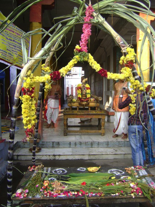 Aminjikarai  Perumal Temple Parivettai 2014--03