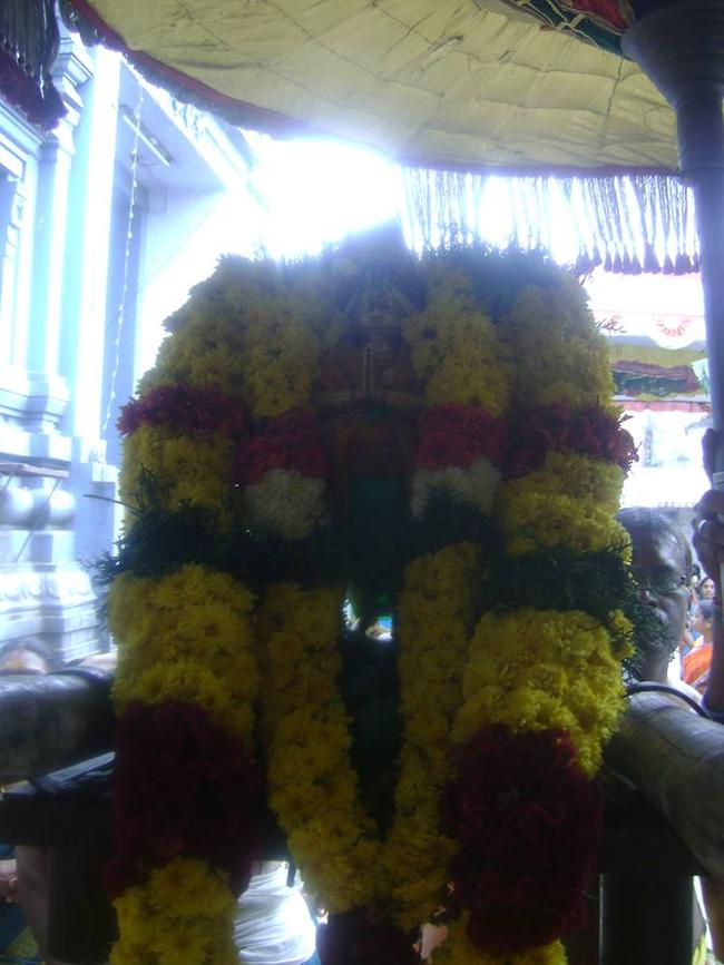 Aminjikarai Prasanna Varadharaja Perumal temple  Hanumath Jayanthi 2013-01