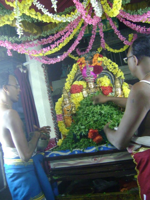 Aminjikarai Prasanna varadar temple Nammazhwar THiruvadi thozhal 2014  -19 - Copy_640x853