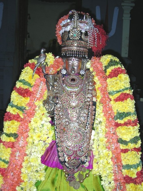 Andal Kalyanam_Thiruvallur_09