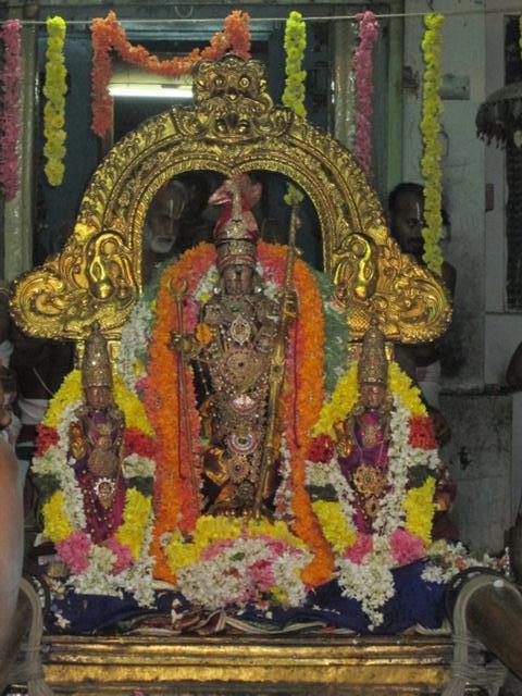 Anushtana Kula Utsavam Kanchipuram-130