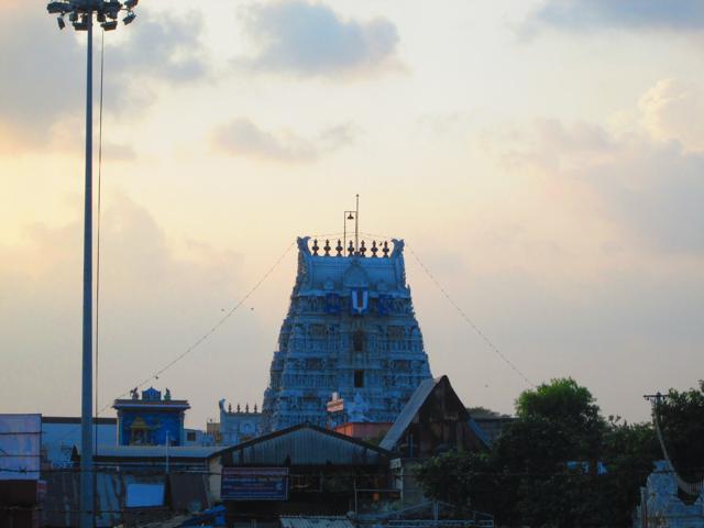 Azhagiyasingar_Pattinapravesam_Thiruvallikeni-117