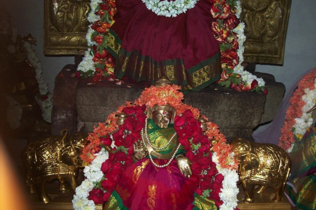 Bangalore Devanatha Perumal Temple Vaikunda Ekadasi 2014--13