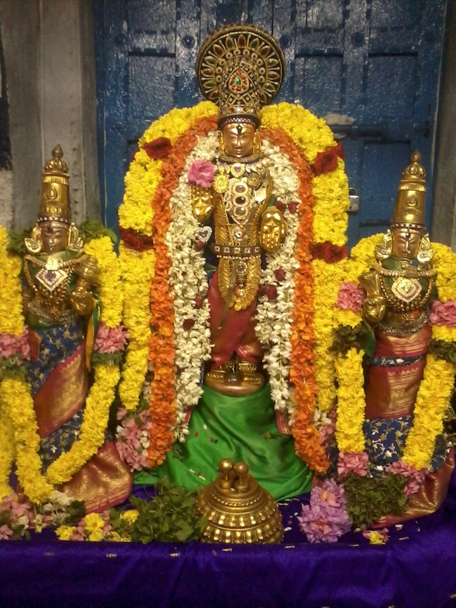 Bhogi Utsavam  at Thiruvellukkai 2014 -08