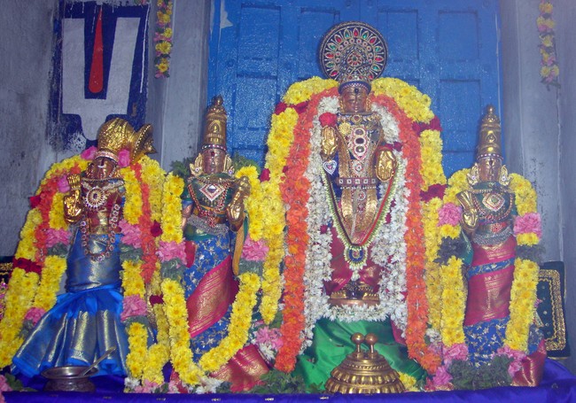 Bhogi Utsavam  at Thiruvellukkai 2014 -10