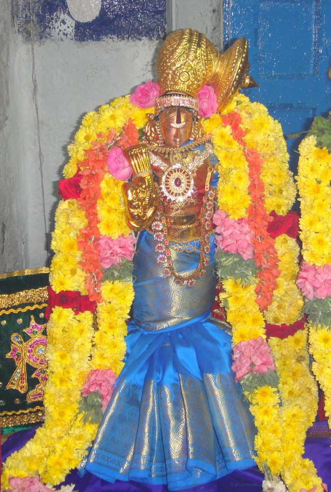 Bhogi Utsavam  at Thiruvellukkai 2014 -13