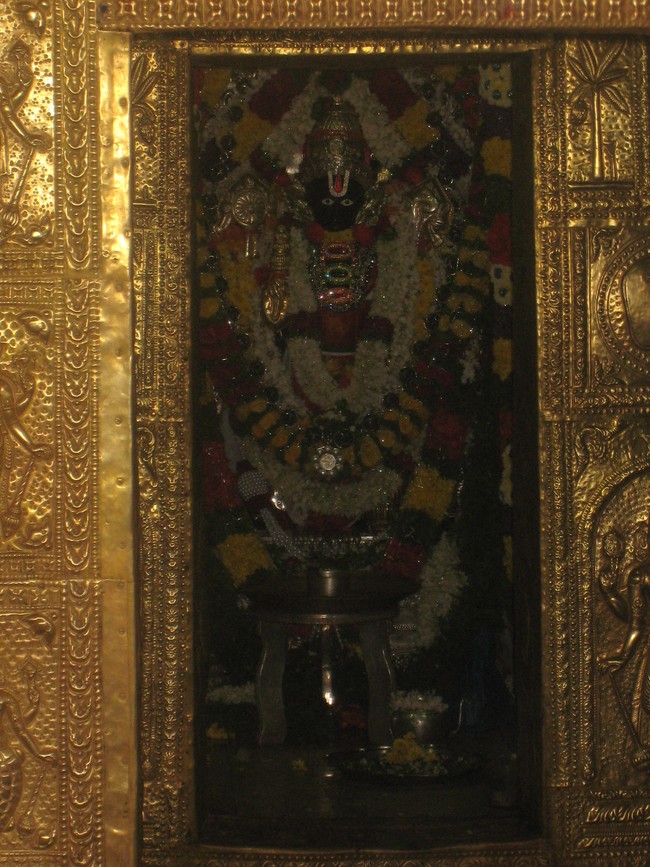 Hassan Bylahalli Sri Lakshmi Janardhana Swami Temple Brahmotsavam 2014 -16