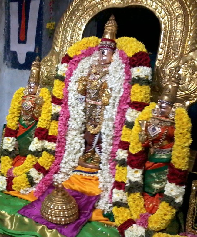 Iyarpa Satrumurai at Thiruvelukkai 2014  -5