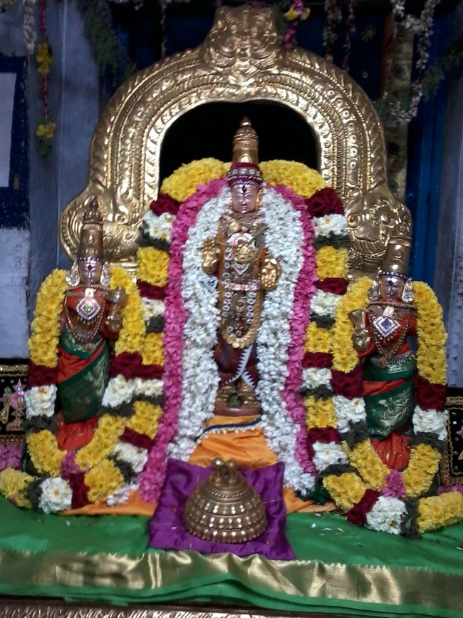Iyarpa Satrumurai at Thiruvelukkai 2014  -6