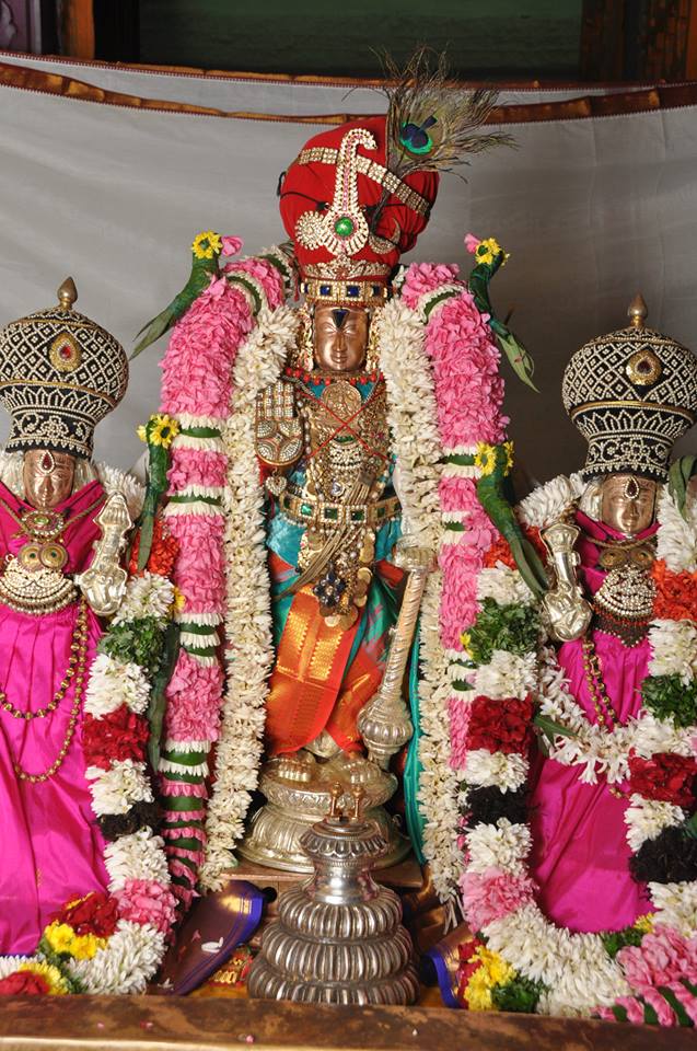 Kaladipet Sri  Kalyana Perumal Bhogi andal thirukalyanam  Utsavam set 2014 -13
