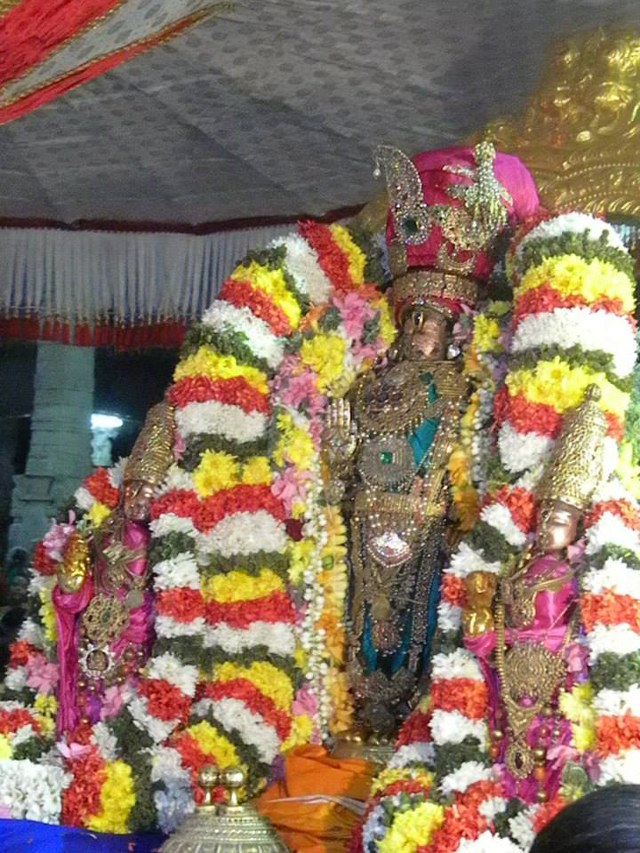 Kanchi Devaperumal Theppotsavam at Ananta Saras Day 3  2014 -02_640x853