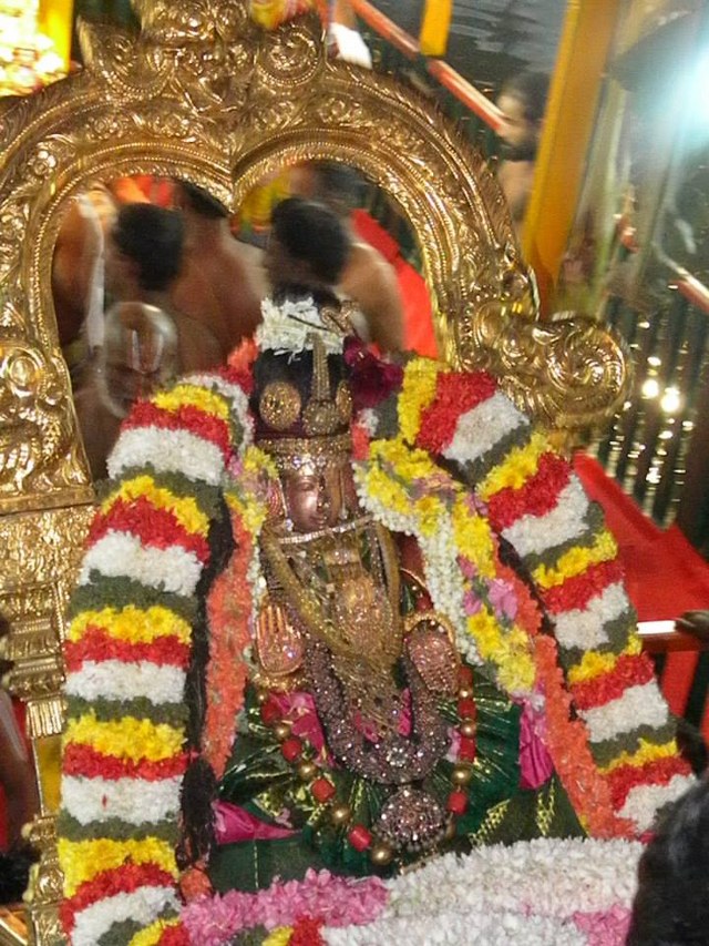 Kanchi Devaperumal Theppotsavam at Ananta Saras Day 3  2014 -05_640x853