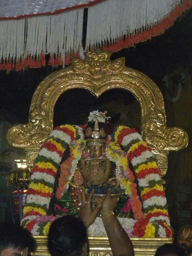 Kanchi Devaperumal Theppotsavam at Ananta Saras Day 3  2014 -08_640x853