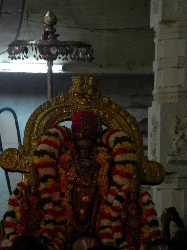 Kanchi Devaperumal Theppotsavam at Ananta Saras Day 3  2014 -13_640x853