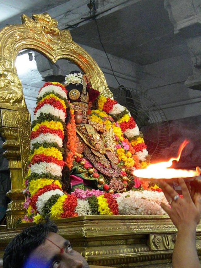 Kanchi Devaperumal Theppotsavam at Ananta Saras Day 3  2014 -27_640x853
