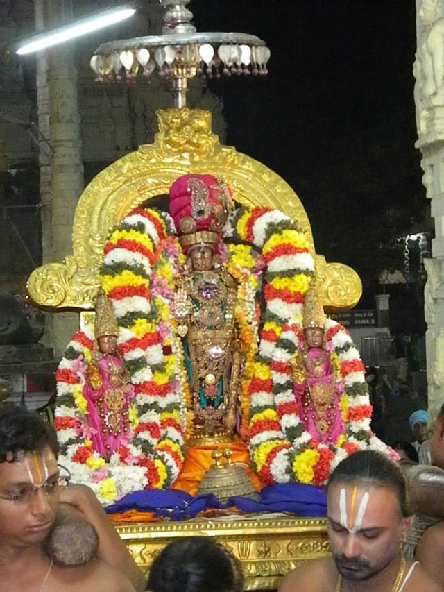 Kanchi Devaperumal Theppotsavam at Ananta Saras Day 3  2014 -28_640x853