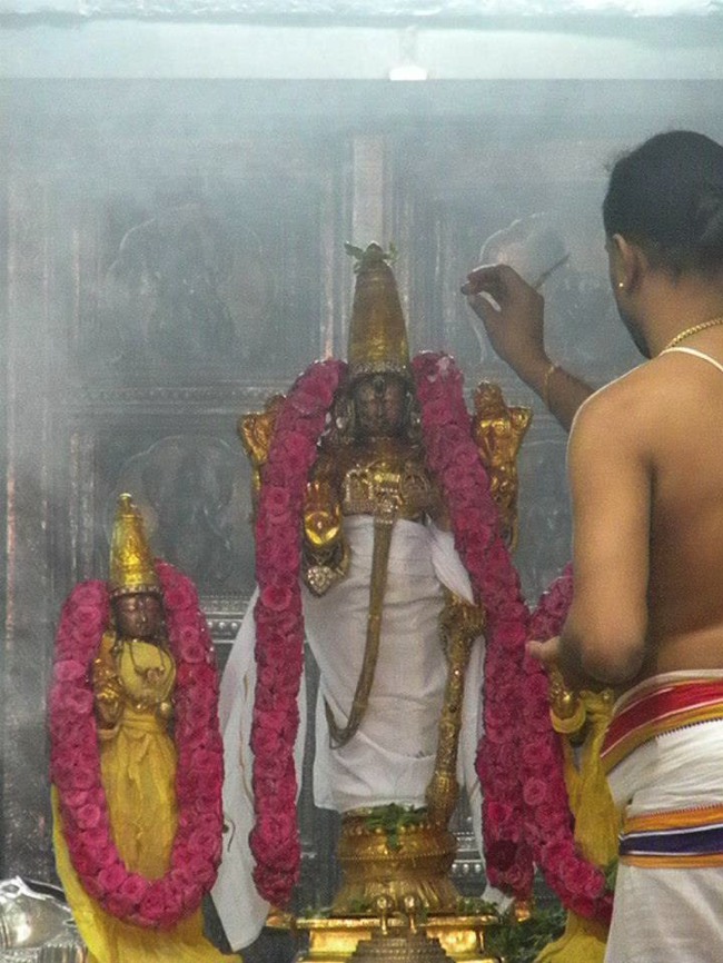 Kanchi Devaperumal thirumanjanam anantha saras day 3 2014--02