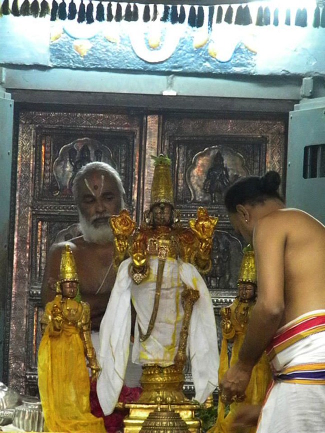 Kanchi Devaperumal thirumanjanam anantha saras day 3 2014--03