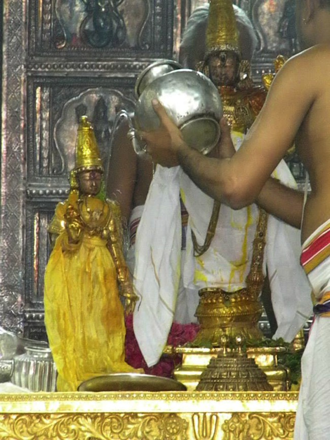 Kanchi Devaperumal thirumanjanam anantha saras day 3 2014--06