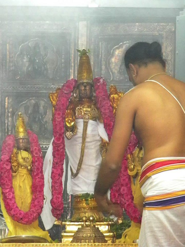 Kanchi Devaperumal thirumanjanam anantha saras day 3 2014--14