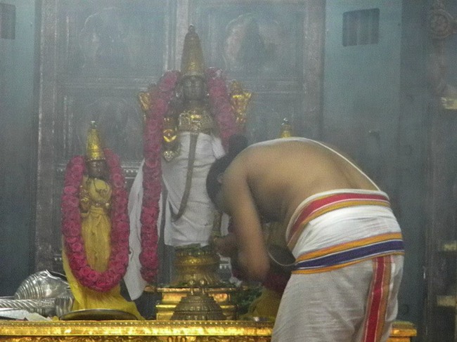 Kanchi Devaperumal thirumanjanam anantha saras day 3 2014--15