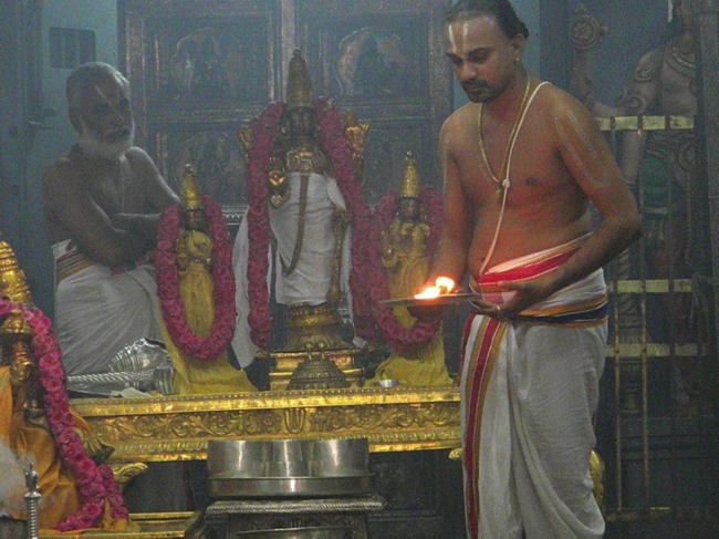 Kanchi Devaperumal thirumanjanam anantha saras day 3 2014--16