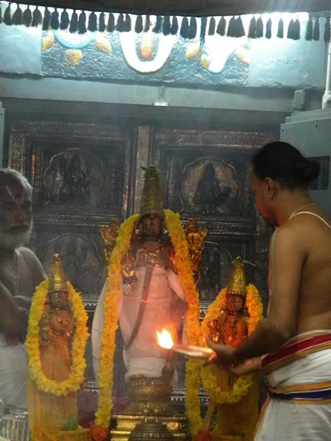 Kanchi Devaperumal thirumanjanam anantha saras day 3 2014--20