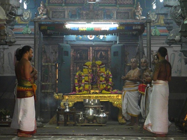 Kanchipuram Devaperumal Irappathu day 6 2014--00
