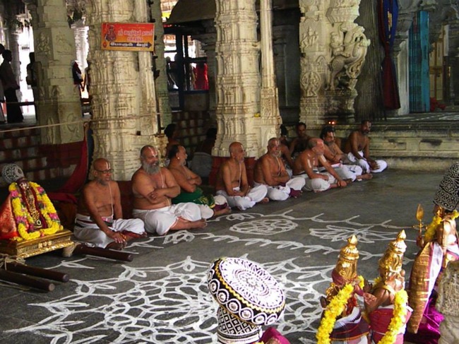 Kanchipuram Devaperumal Irappathu day 6 2014--02